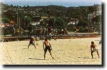 beachvolley.jpg (20991 bytes)